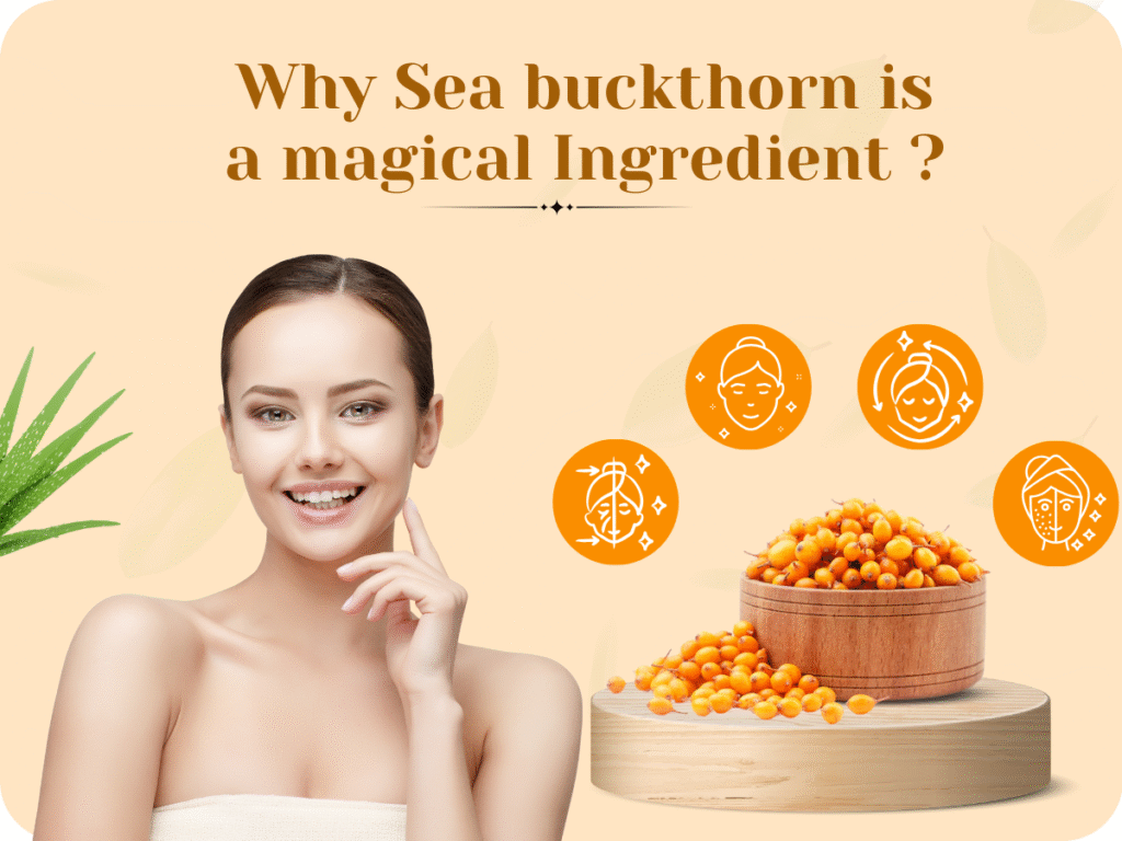 Sea buckthorn