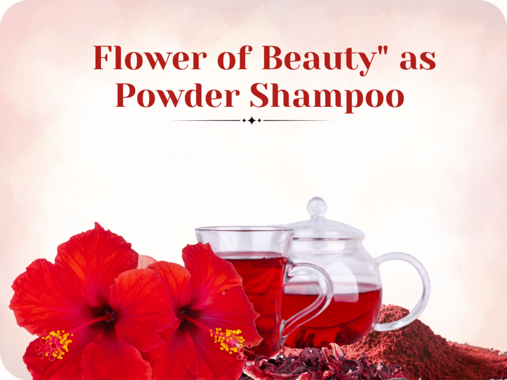 hibiscus powder shampoo