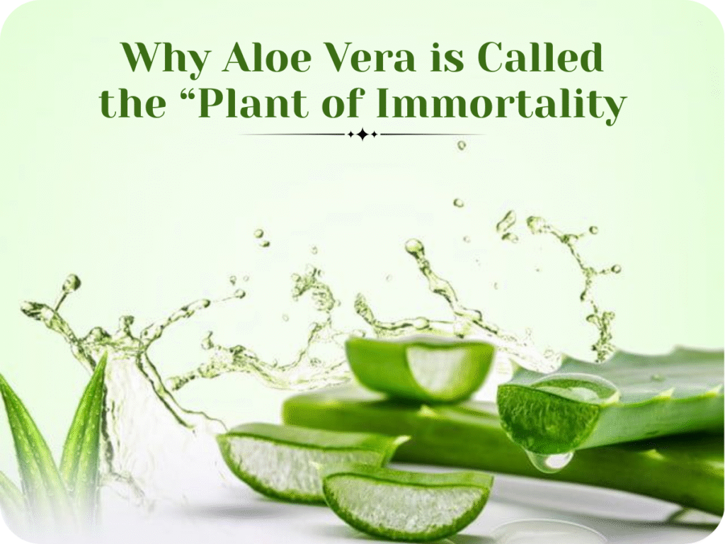 Natural Aloevera Gel