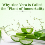 Natural Aloevera Gel