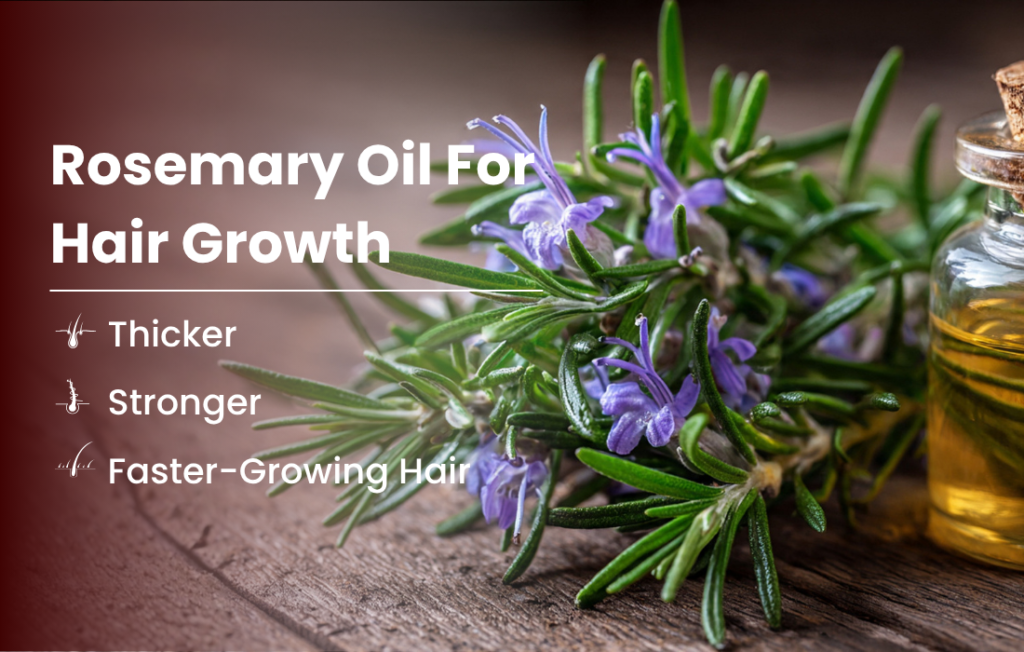 Rosemary Oil for Hair Growth: Benefits, How It Works, and the Right Way to Use It